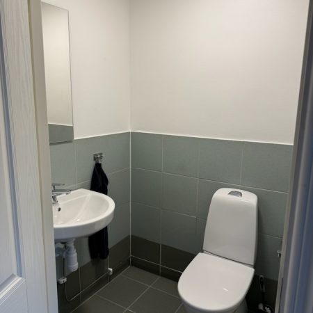 IMG 8126