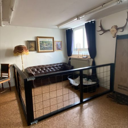 Processed 31A567C1 65B9 4A65 892C 81237B48DA8E